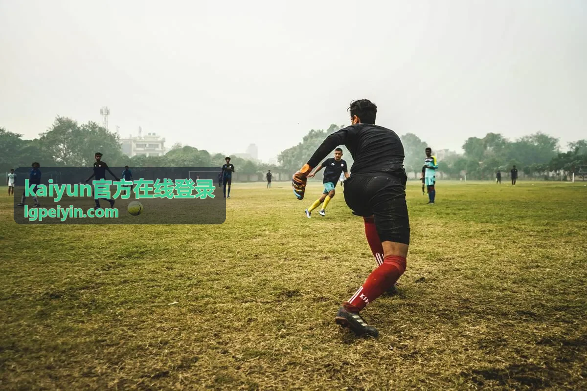 kaiyun官方在线登录 移动端登录验证码校验流程