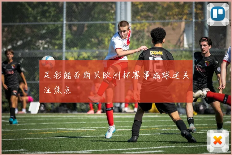 足彩能否购买欧洲杯赛事成球迷关注焦点