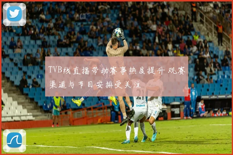 TVB线直播带动赛事热度提升 观赛渠道与节目安排受关注