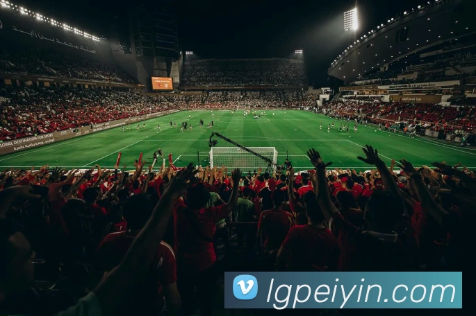 球赛押注app官网服务体系